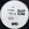 The Family Cat - Tom Verlaine (12'')